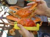 Coupla big crabs